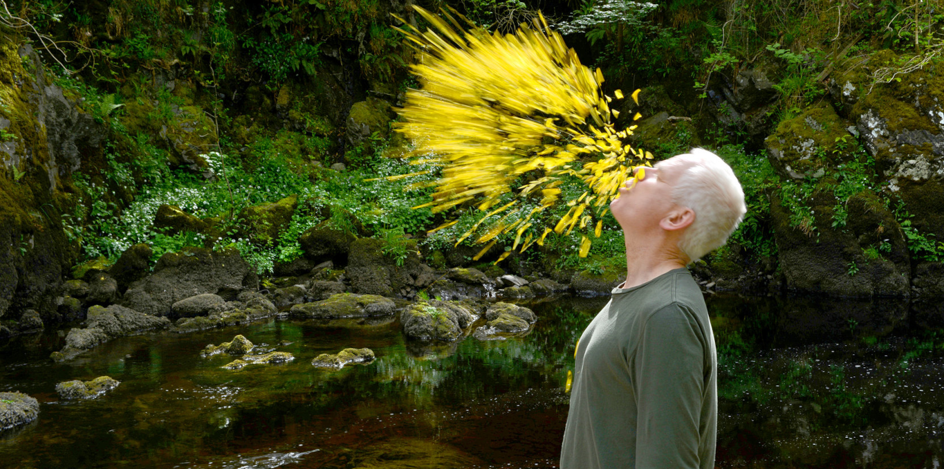 Catalogue pédagogique